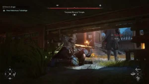 Assassin's Creed Shadows Premium Edition