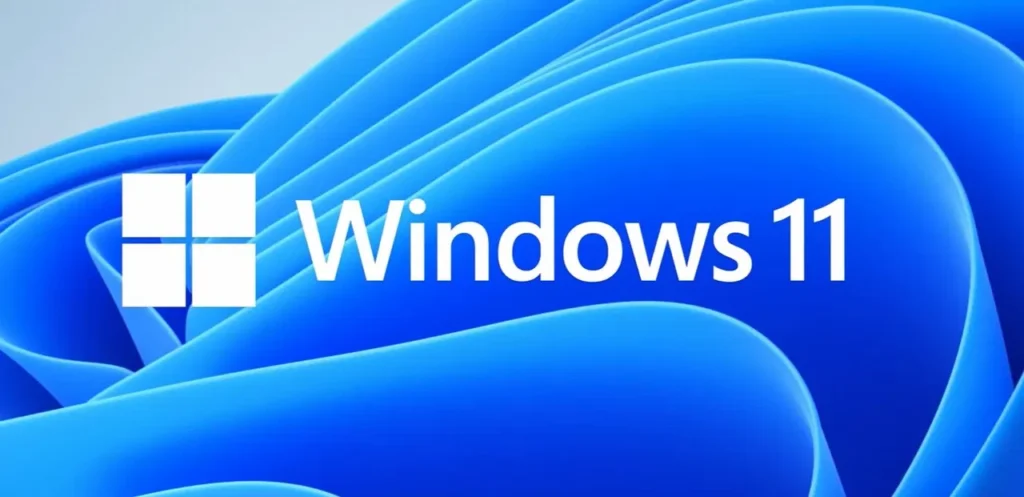 Windows 11 Professional OEM