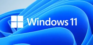 Windows 11 Professional OEM