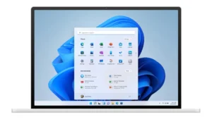 Windows 11 Professional OEM