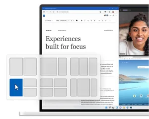 Windows 11 Professional OEM