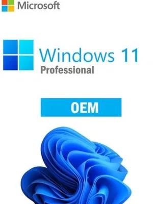 Windows 11 Professional OEM