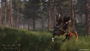 Mount & Blade II: Bannerlord