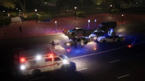 Police Simulator: Patrol Officers - Gold Edition