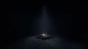 Reanimal