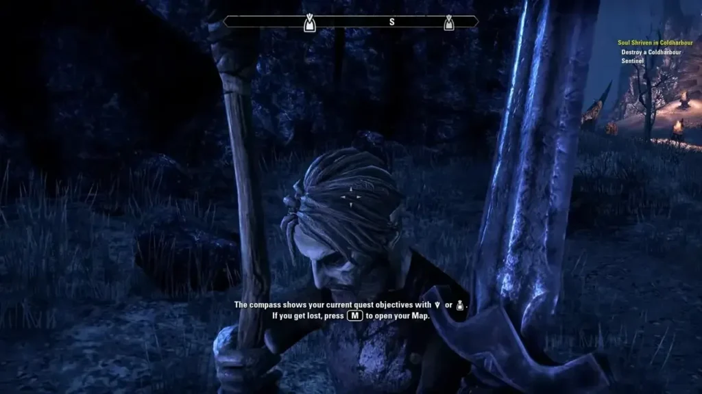 The Elder Scrolls Online: Premium Edition