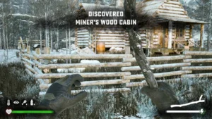 Winter Survival Simulator