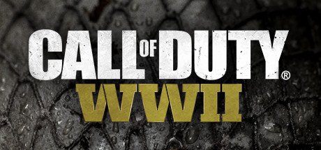 Call of Duty WWII - titulní obrázek hry
